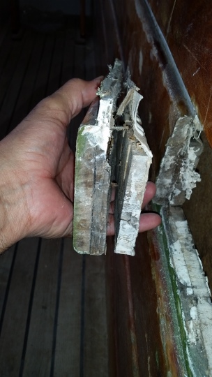 This is what was cut out of the inner gunnel. The picture below is the piece on the right.